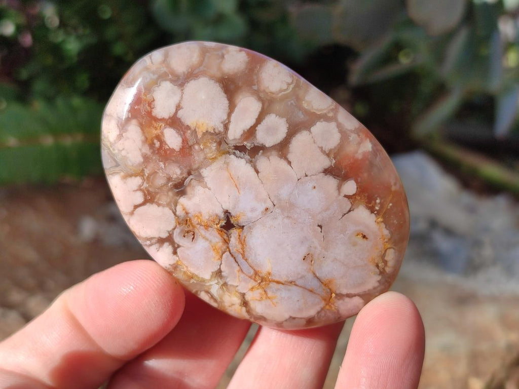 Polished Flower Agate Palm Stones x 16 From Antsahalova, Madagascar - Toprock Gemstones and Minerals 