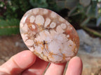 Polished Flower Agate Palm Stones x 16 From Antsahalova, Madagascar - Toprock Gemstones and Minerals 