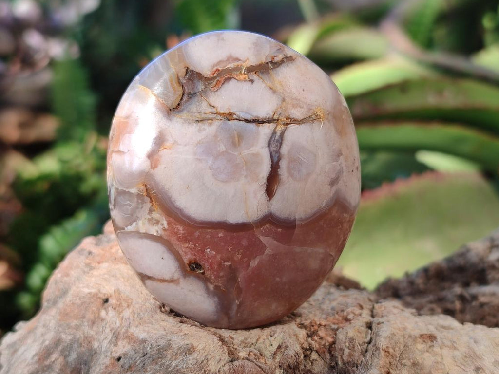 Polished Flower Agate Palm Stones x 16 From Antsahalova, Madagascar - Toprock Gemstones and Minerals 