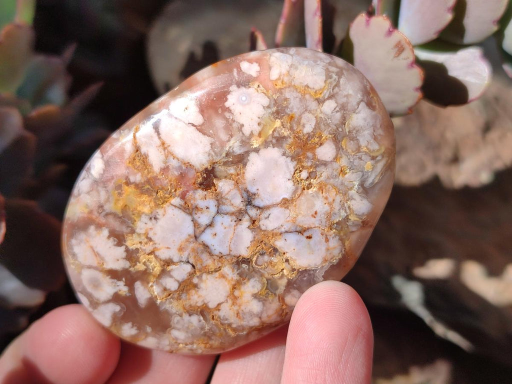 Polished Flower Agate Palm Stones x 16 From Antsahalova, Madagascar - Toprock Gemstones and Minerals 