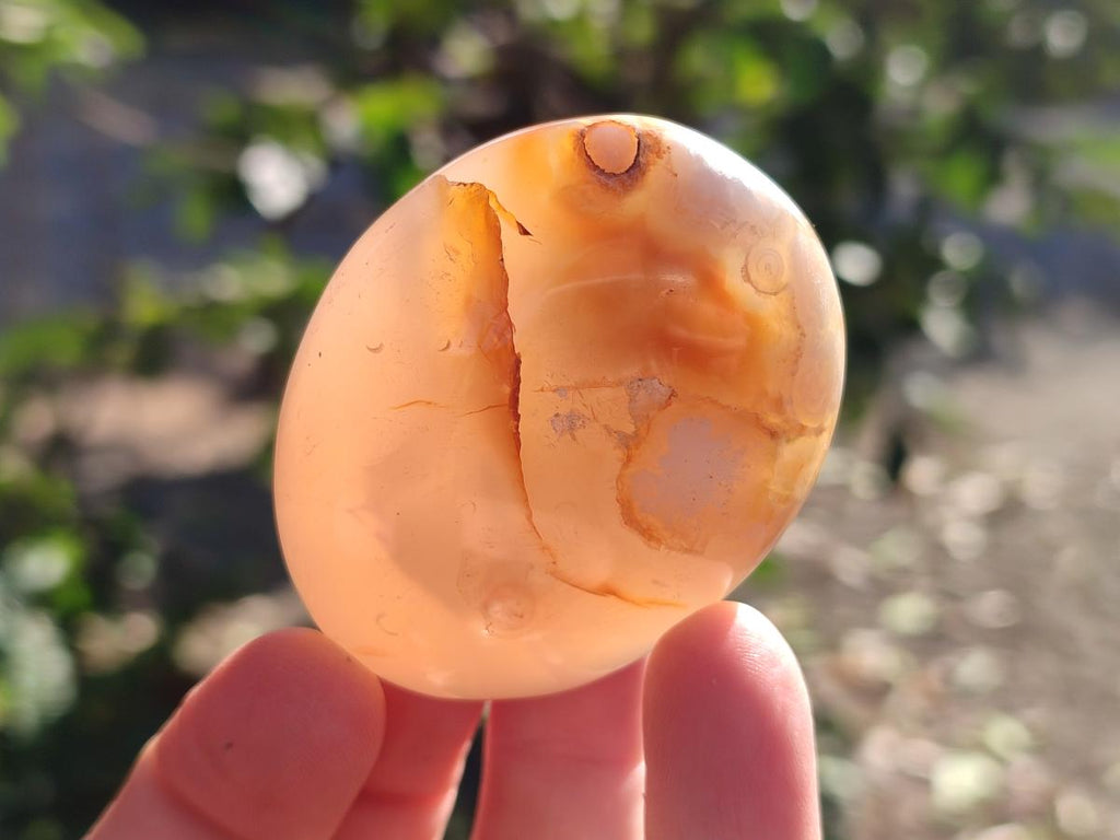 Polished Flower Agate Palm Stones x 16 From Antsahalova, Madagascar - Toprock Gemstones and Minerals 