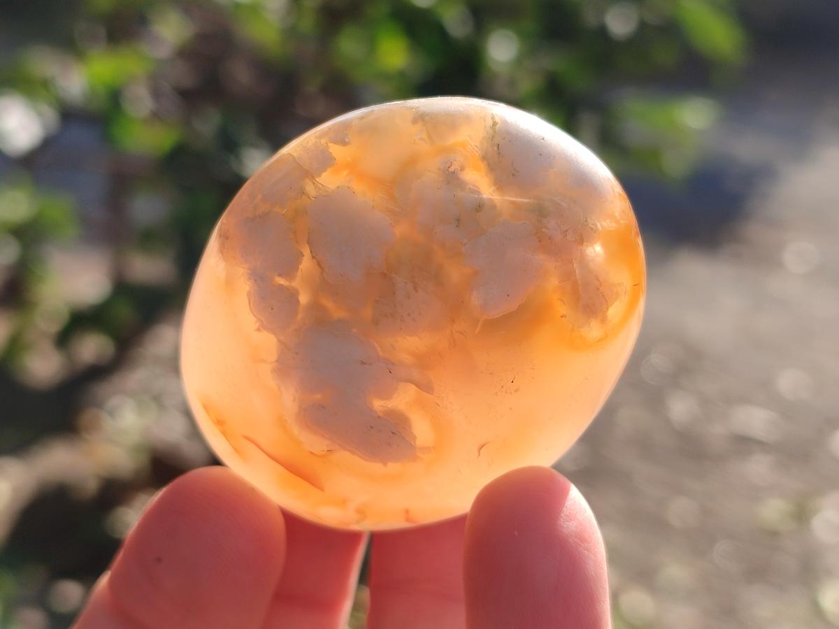 Polished Flower Agate Palm Stones x 16 From Antsahalova, Madagascar - Toprock Gemstones and Minerals 
