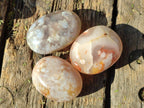 Polished Flower Agate Palm Stones x 16 From Antsahalova, Madagascar - Toprock Gemstones and Minerals 