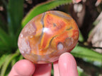 Polished Flower Agate Palm Stones x 16 From Antsahalova, Madagascar - Toprock Gemstones and Minerals 