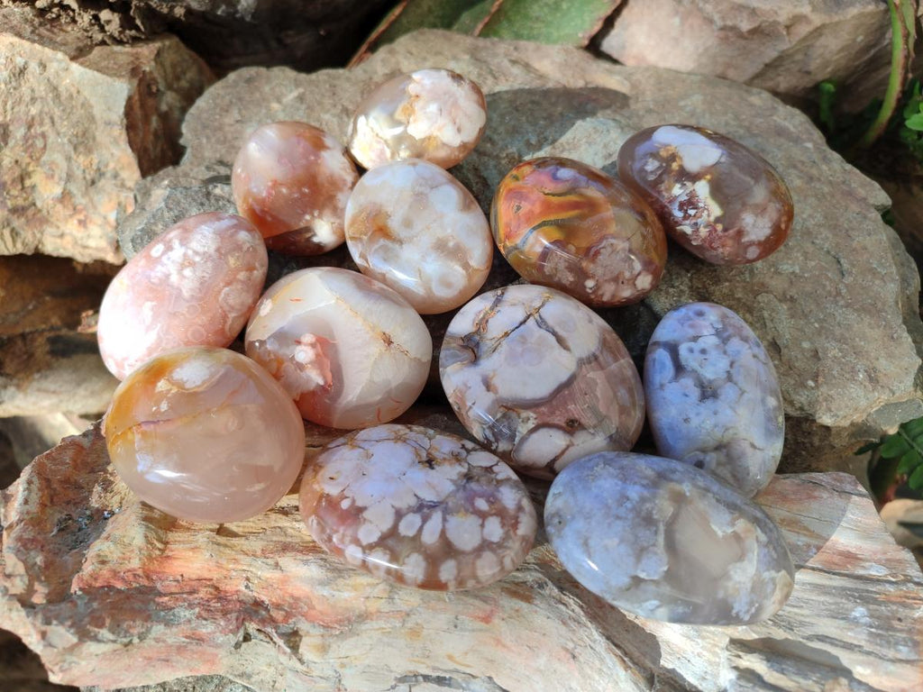 Polished Flower Agate Palm Stones x 16 From Antsahalova, Madagascar - Toprock Gemstones and Minerals 