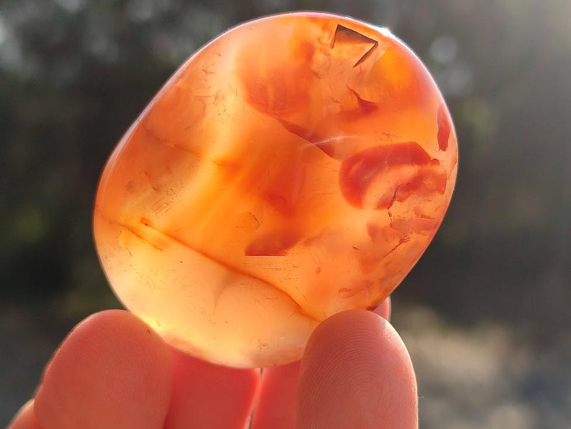 Polished Flower Agate Palm Stones x 16 From Antsahalova, Madagascar - Toprock Gemstones and Minerals 