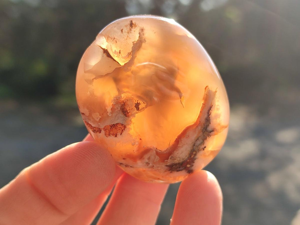 Polished Flower Agate Palm Stones x 16 From Antsahalova, Madagascar - Toprock Gemstones and Minerals 