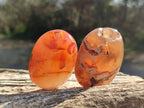 Polished Flower Agate Palm Stones x 16 From Antsahalova, Madagascar - Toprock Gemstones and Minerals 