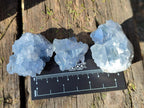 Natural Blue Celestite Specimens x 59 From Sakoany, Madagascar - Toprock Gemstones and Minerals 