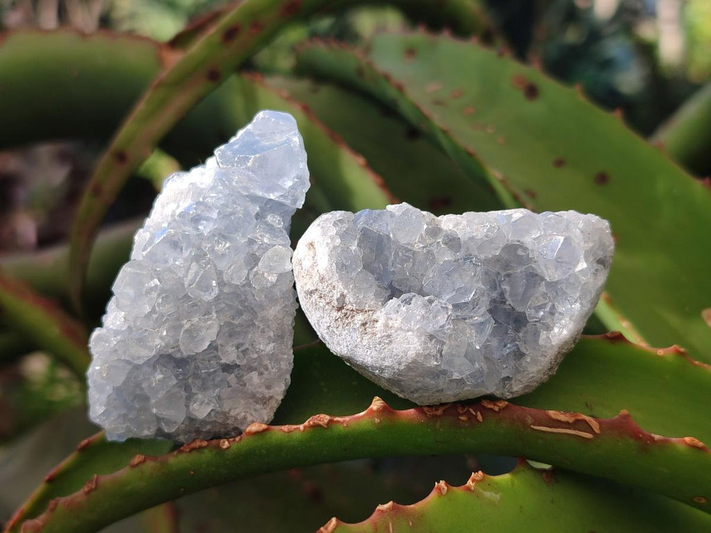 Natural Blue Celestite Specimens x 59 From Sakoany, Madagascar - Toprock Gemstones and Minerals 