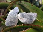 Natural Blue Celestite Specimens x 59 From Sakoany, Madagascar - Toprock Gemstones and Minerals 