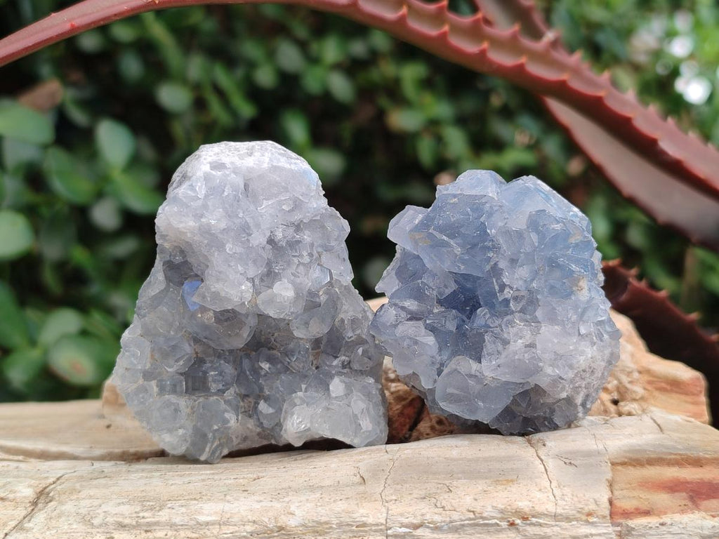 Natural Blue Celestite Specimens x 59 From Sakoany, Madagascar - Toprock Gemstones and Minerals 