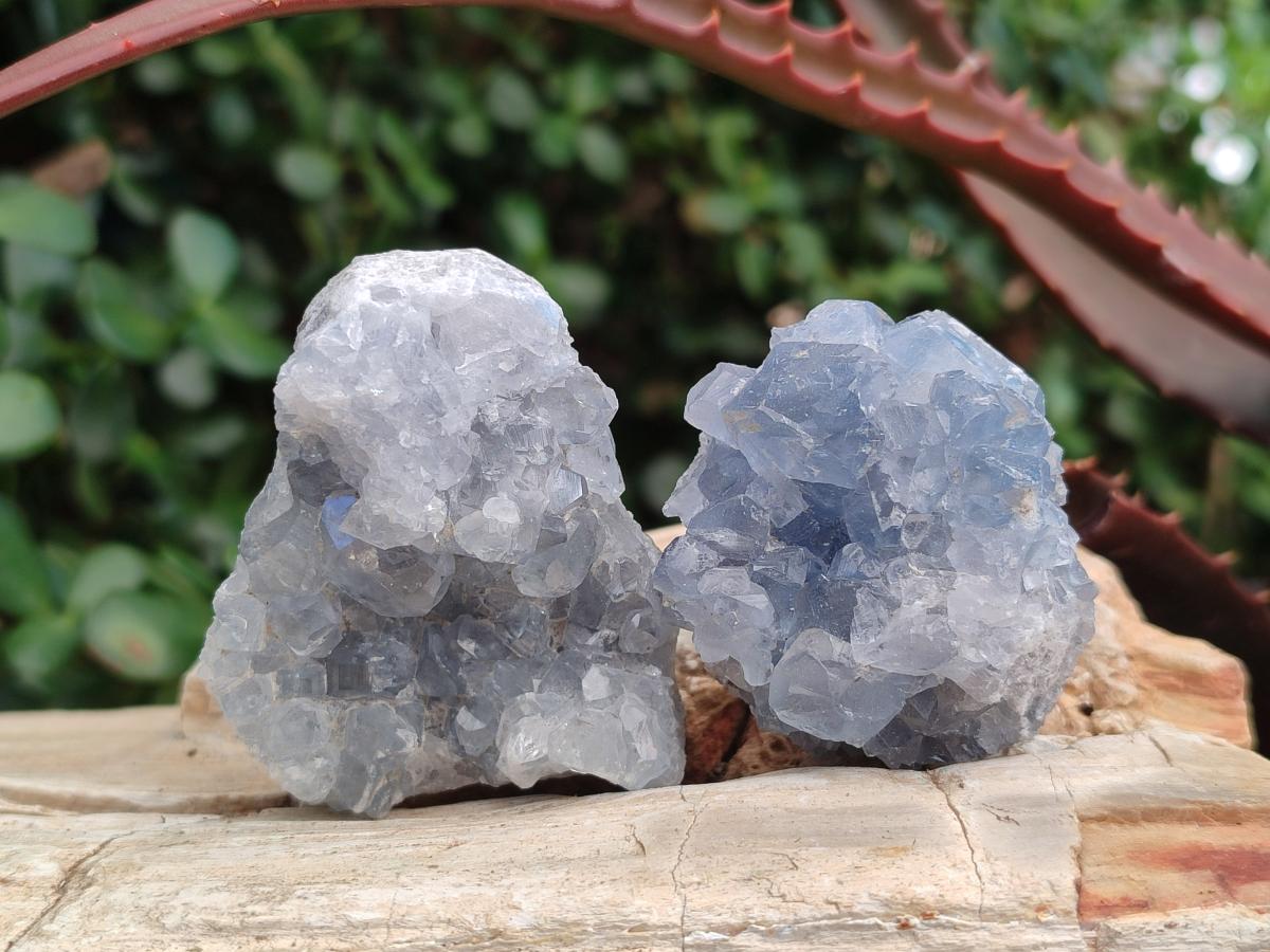 Natural Blue Celestite Specimens x 59 From Sakoany, Madagascar - Toprock Gemstones and Minerals 
