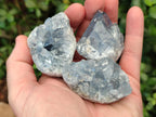Natural Blue Celestite Specimens x 59 From Sakoany, Madagascar - Toprock Gemstones and Minerals 