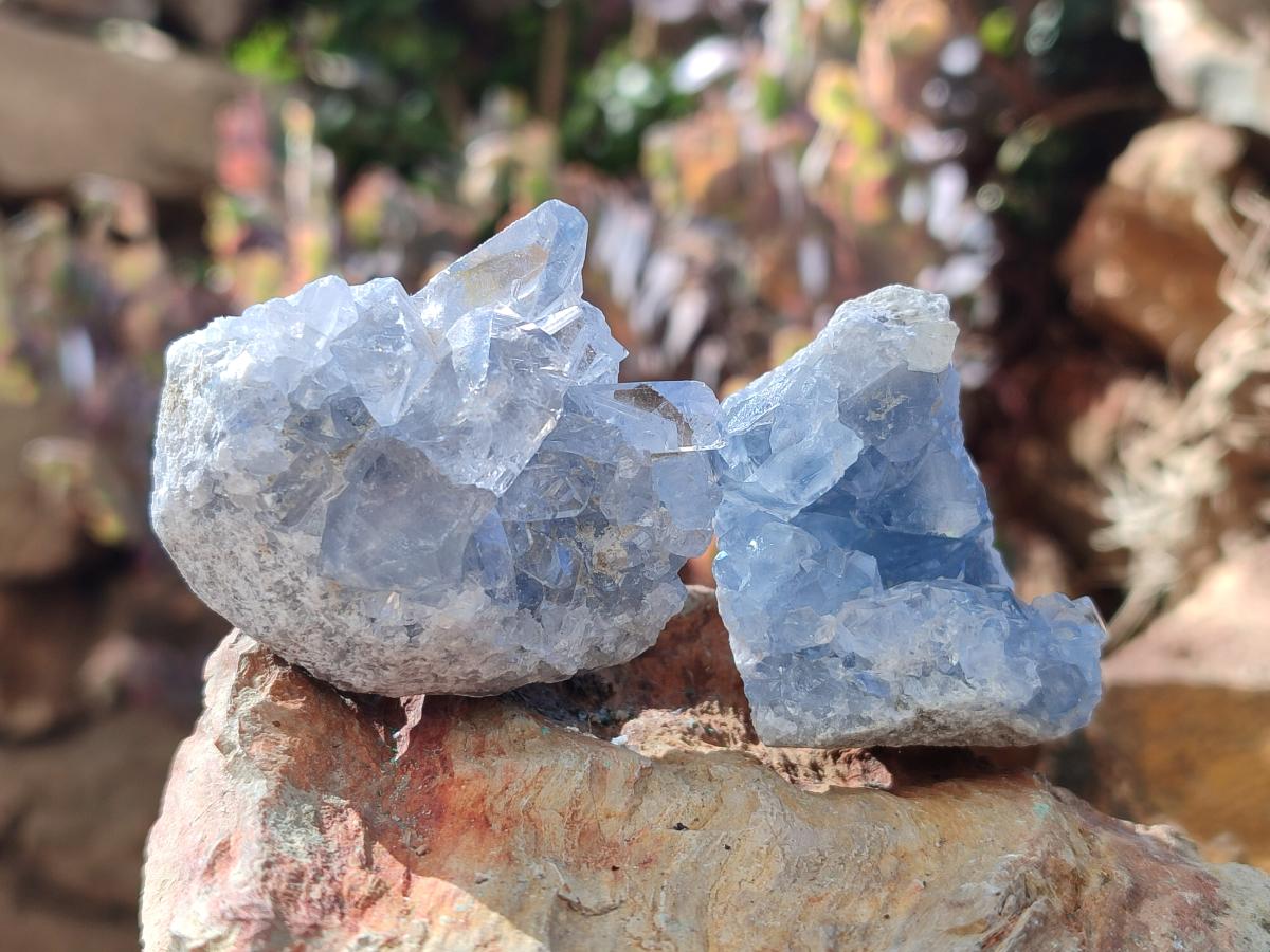 Natural Blue Celestite Specimens x 59 From Sakoany, Madagascar - Toprock Gemstones and Minerals 