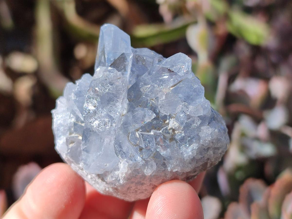 Natural Blue Celestite Specimens x 59 From Sakoany, Madagascar - Toprock Gemstones and Minerals 