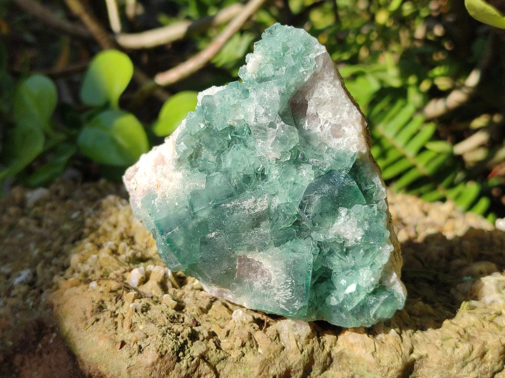 Natural Green Cubic Fluorite Specimens x 6 From Mandrosonoro, Madagascar - Toprock Gemstones and Minerals 