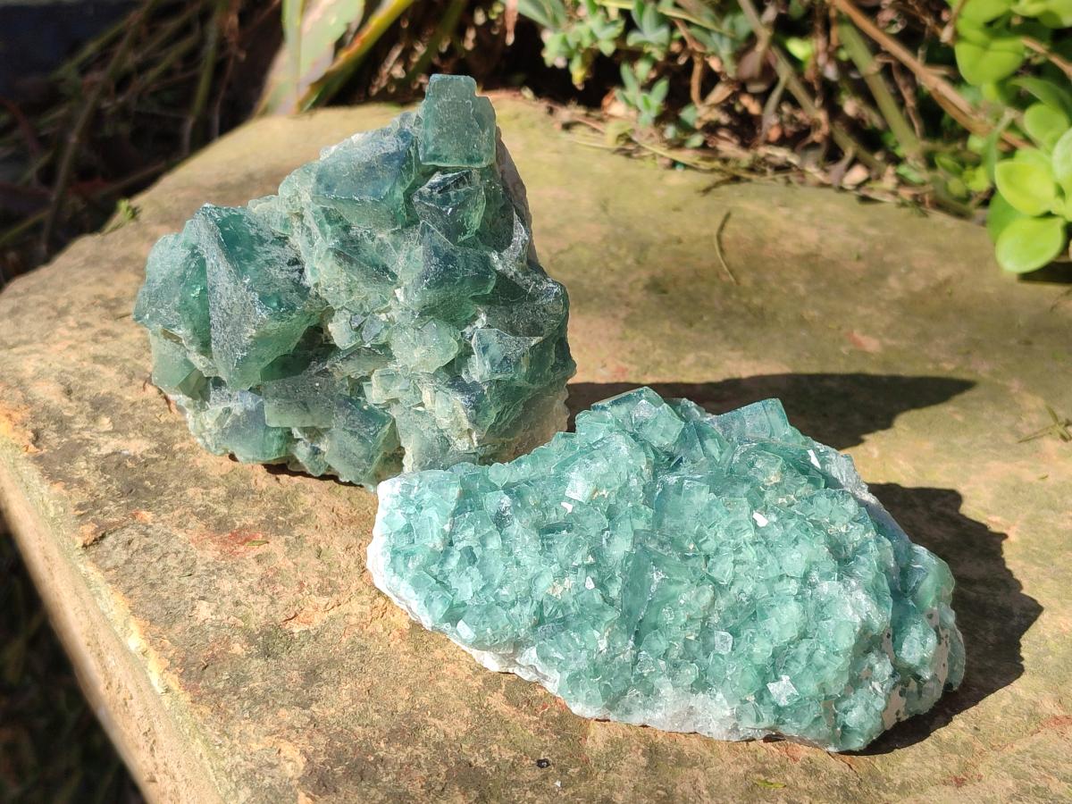 Natural Green Cubic Fluorite Specimens x 6 From Mandrosonoro, Madagascar - Toprock Gemstones and Minerals 