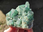 Natural Green Cubic Fluorite Specimens x 6 From Mandrosonoro, Madagascar - Toprock Gemstones and Minerals 