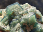 Natural Green Cubic Fluorite Specimens x 6 From Mandrosonoro, Madagascar - Toprock Gemstones and Minerals 