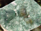 Natural Green Cubic Fluorite Specimens x 6 From Mandrosonoro, Madagascar - Toprock Gemstones and Minerals 