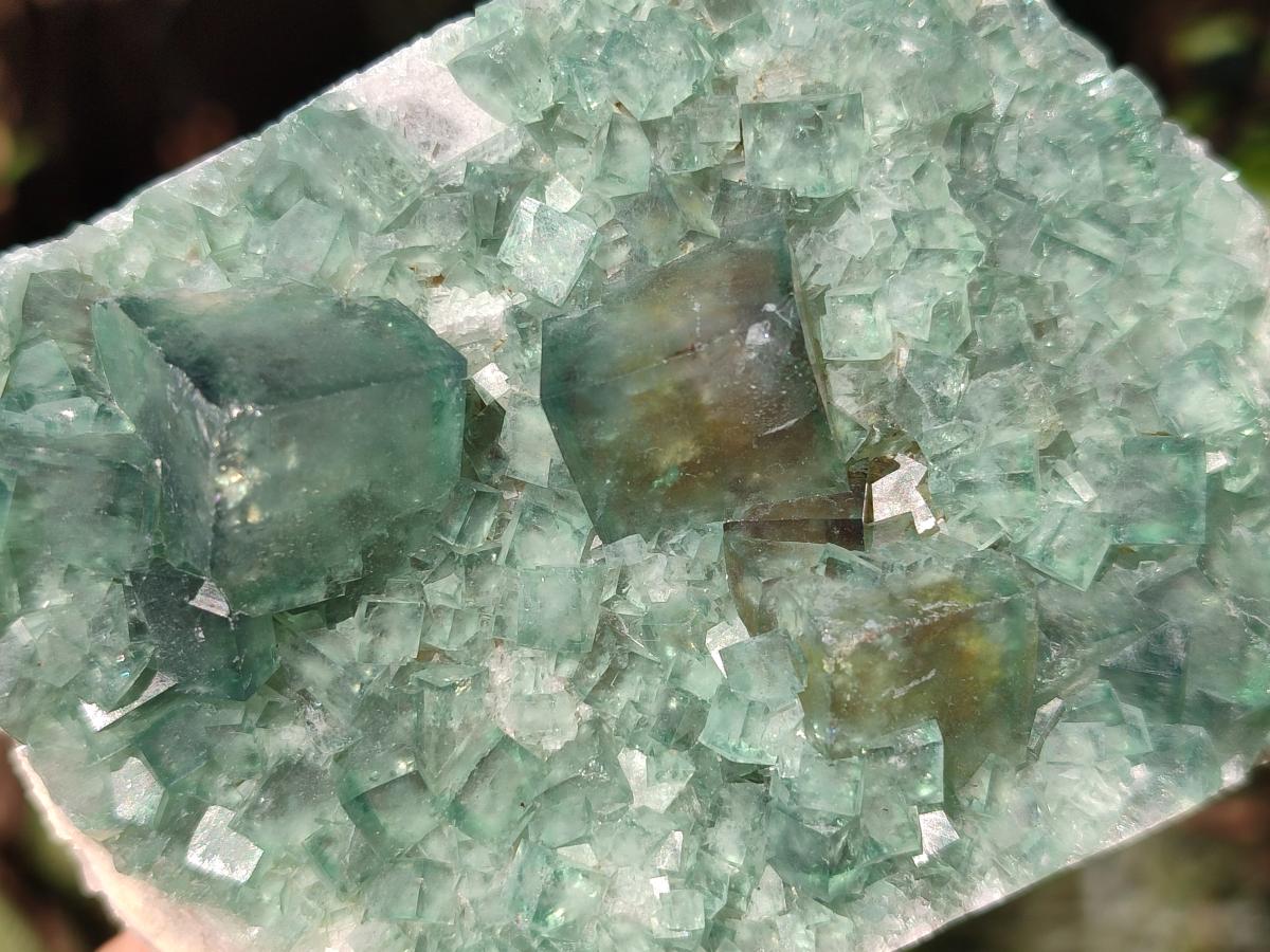 Natural Green Cubic Fluorite Specimens x 6 From Mandrosonoro, Madagascar - Toprock Gemstones and Minerals 