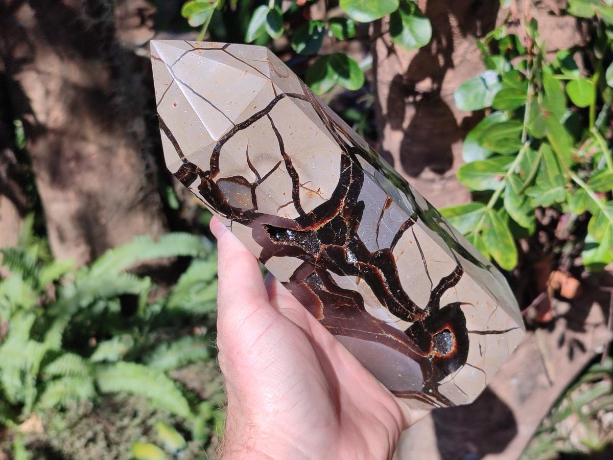 Polished Large Septerye Sauvage Tower x 1 From Mahajanga, Madagascar - Toprock Gemstones and Minerals 