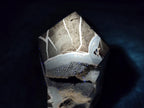 Polished Large Septerye Sauvage Tower x 1 From Mahajanga, Madagascar - Toprock Gemstones and Minerals 