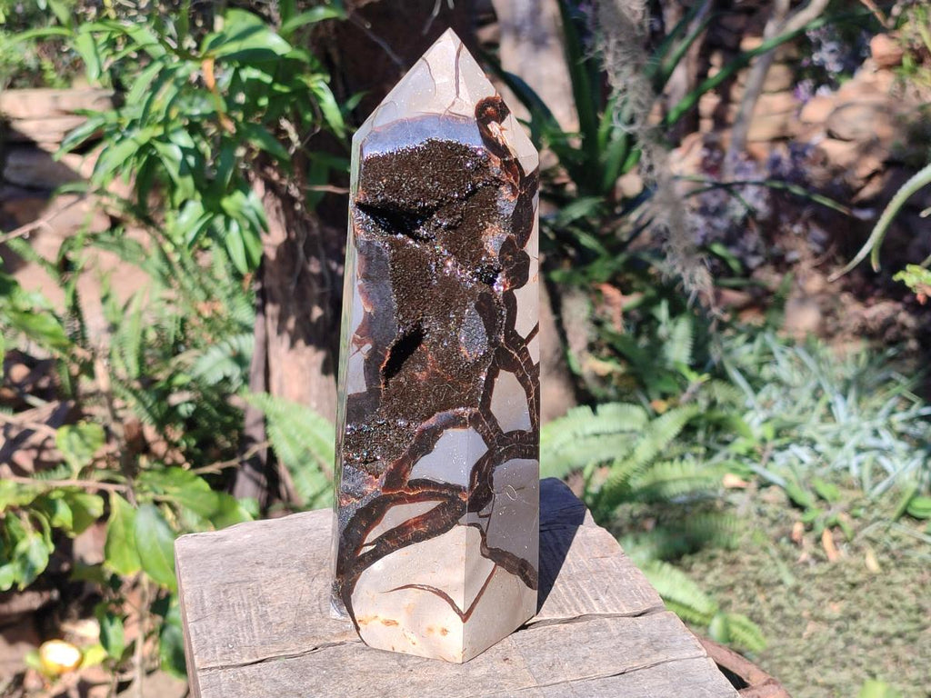 Polished Large Septerye Sauvage Tower x 1 From Mahajanga, Madagascar - Toprock Gemstones and Minerals 
