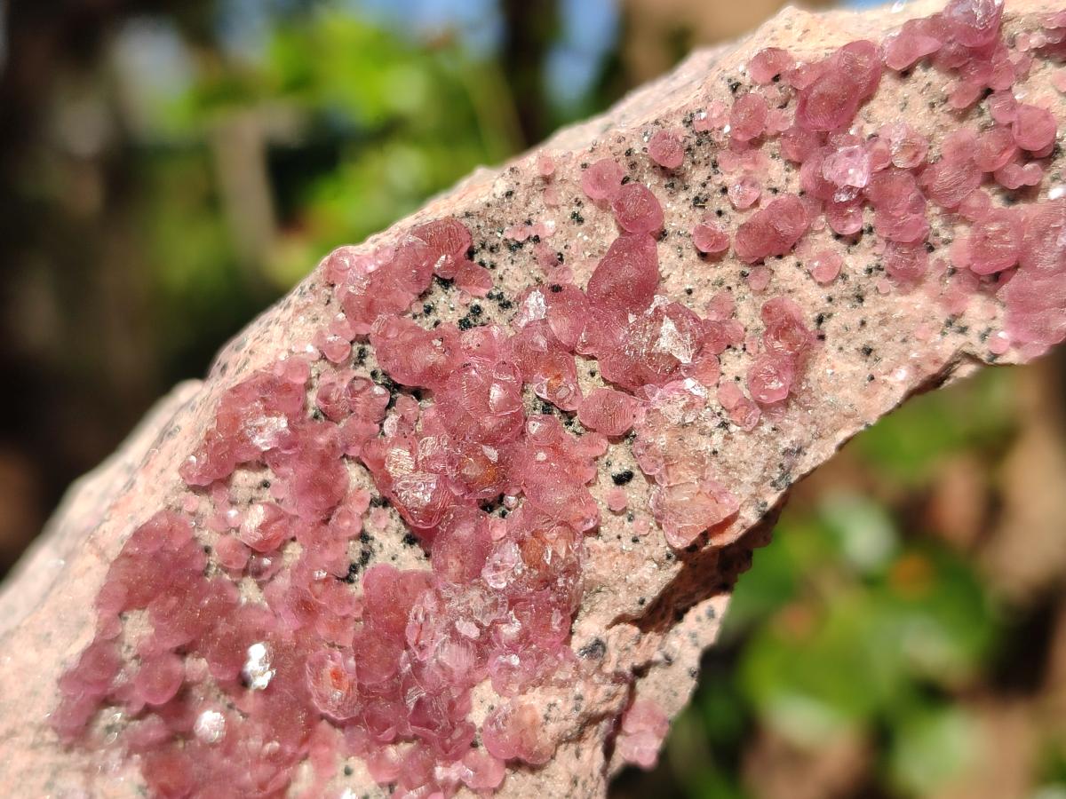 Natural Spherocobaltite Specimens x 6 From Musonoi Mine, Congo - Toprock Gemstones and Minerals 