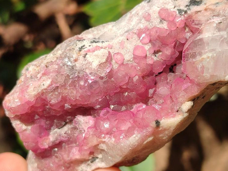 Natural Spherocobaltite Specimens x 6 From Musonoi Mine, Congo - Toprock Gemstones and Minerals 
