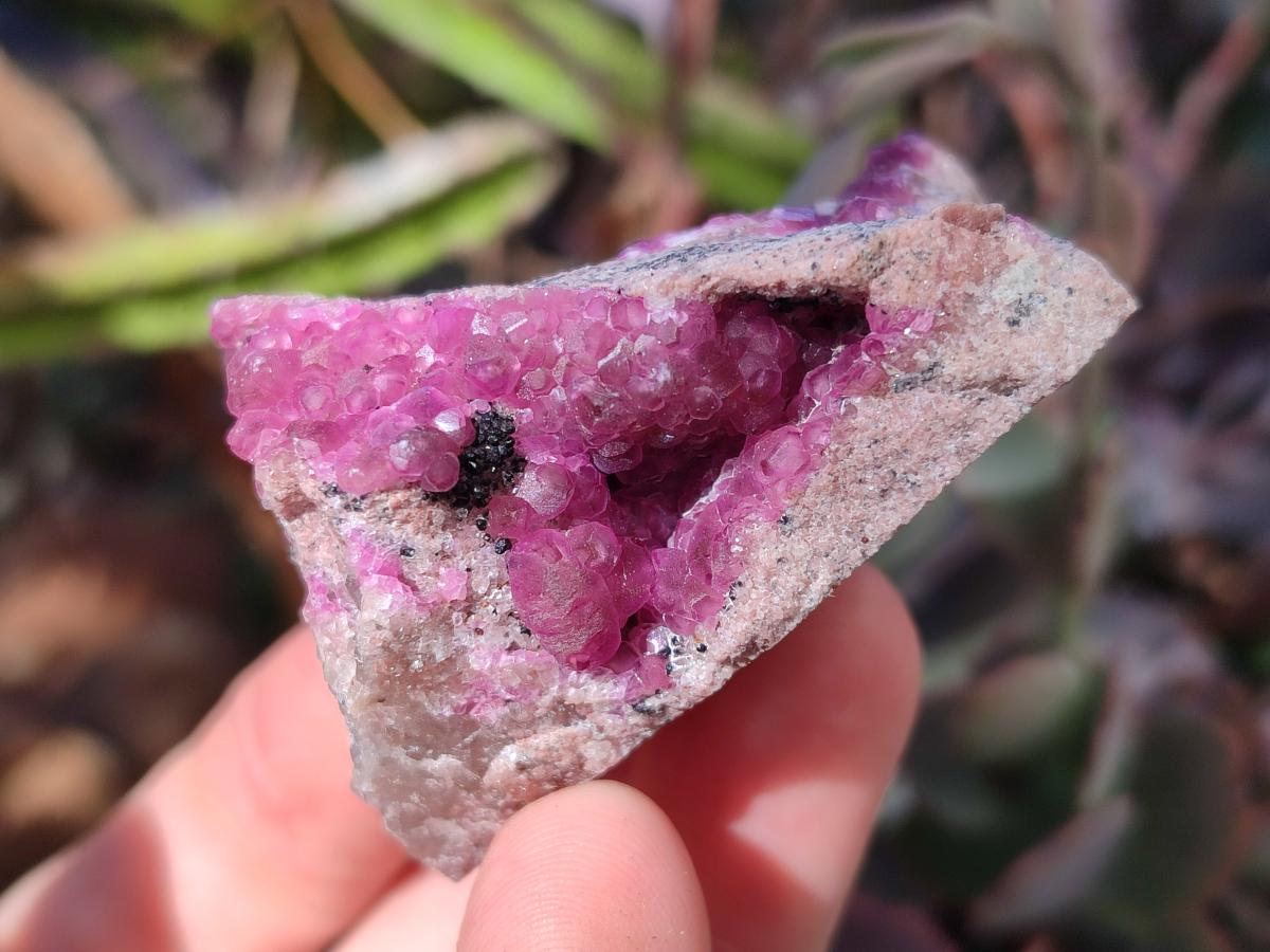 Natural Spherocobaltite Specimens x 6 From Musonoi Mine, Congo - Toprock Gemstones and Minerals 