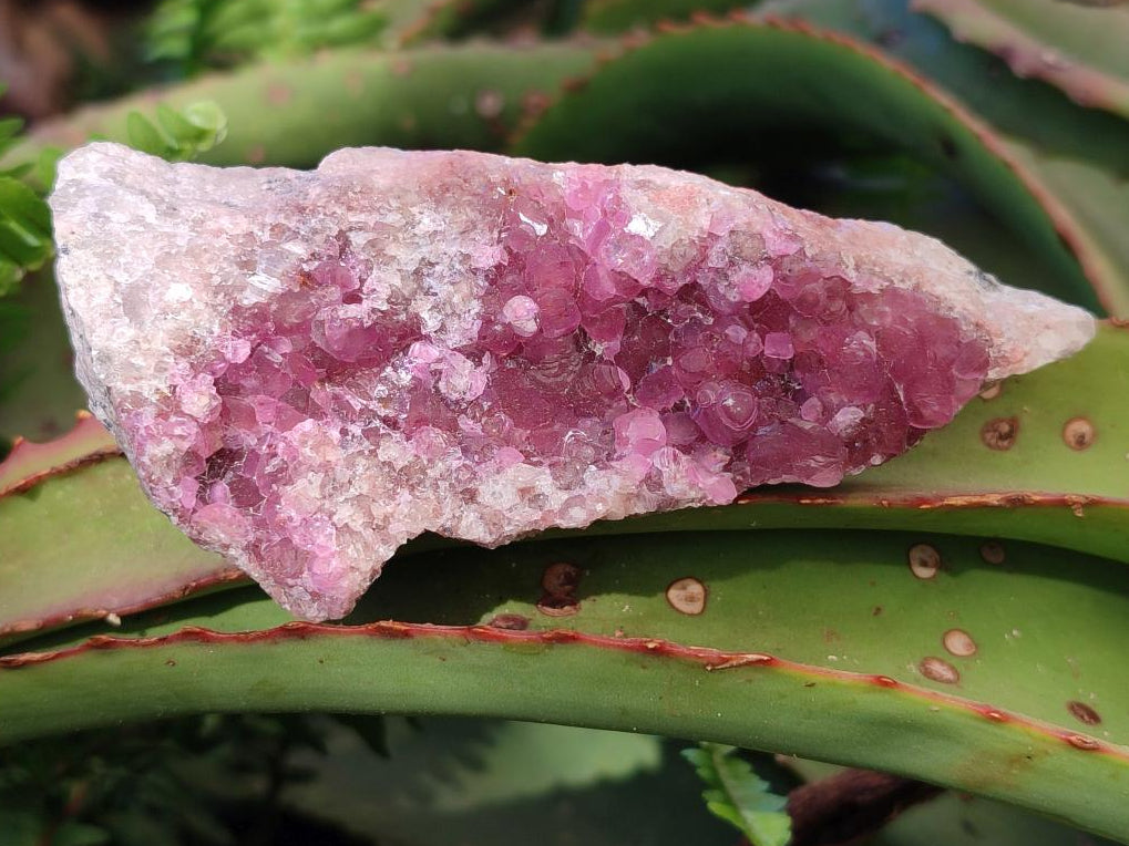 Natural Spherocobaltite Specimens x 6 From Musonoi Mine, Congo - Toprock Gemstones and Minerals 