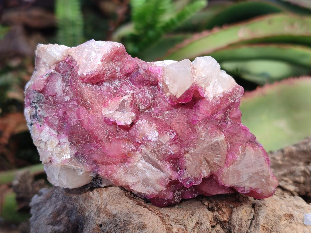 Natural Spherocobaltite Specimens x 6 From Musonoi Mine, Congo - Toprock Gemstones and Minerals 