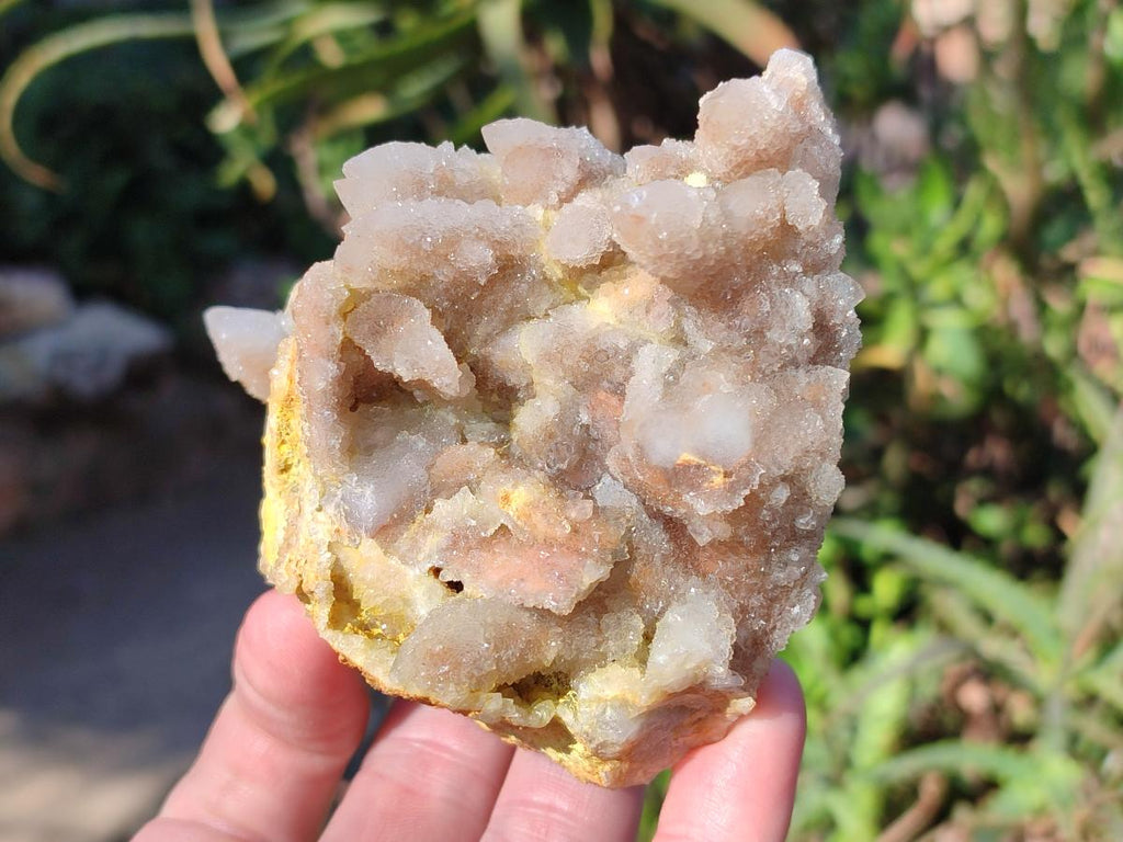 Natural Drusy Fairy Spirit Quartz Clusters x 6 From Boekenhouthoek, South Africa - Toprock Gemstones and Minerals 
