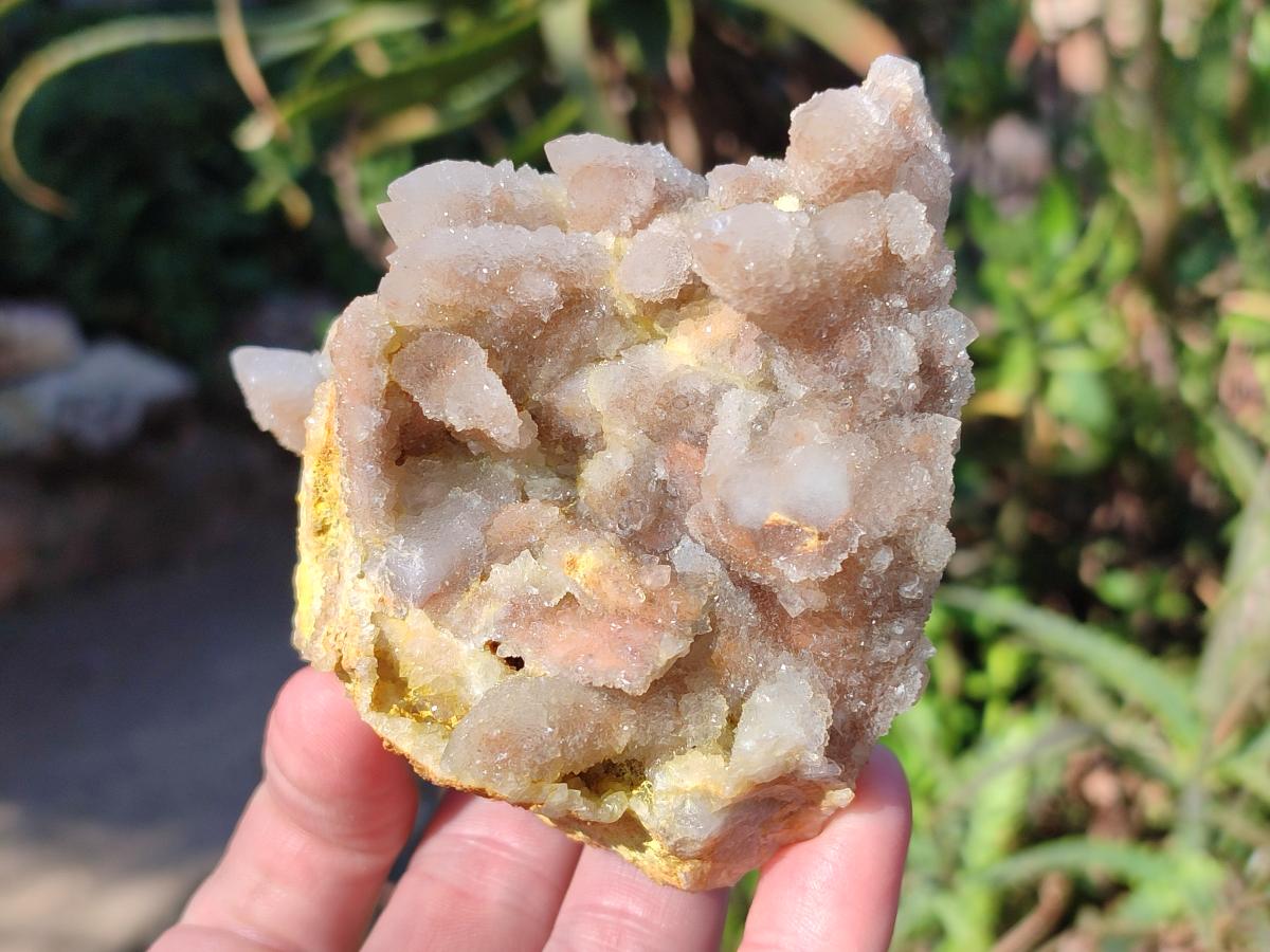 Natural Drusy Fairy Spirit Quartz Clusters x 6 From Boekenhouthoek, South Africa - Toprock Gemstones and Minerals 