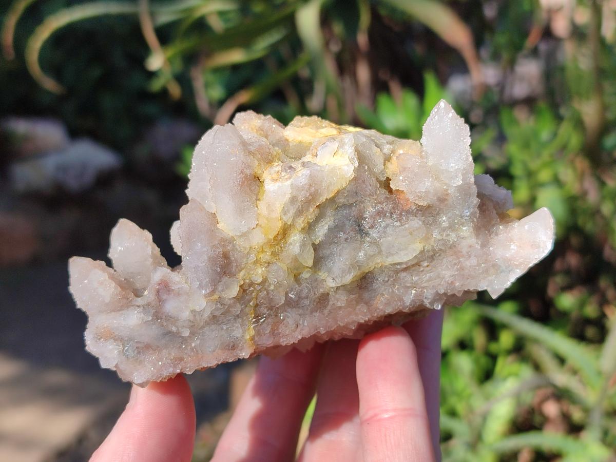 Natural Drusy Fairy Spirit Quartz Clusters x 6 From Boekenhouthoek, South Africa - Toprock Gemstones and Minerals 