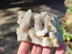 Natural Drusy Fairy Spirit Quartz Clusters x 6 From Boekenhouthoek, South Africa - Toprock Gemstones and Minerals 