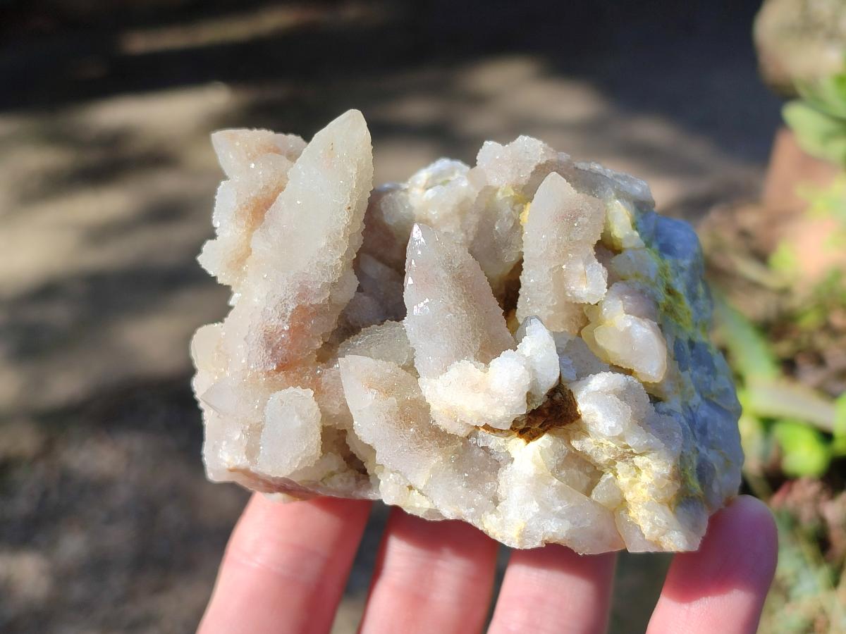 Natural Drusy Fairy Spirit Quartz Clusters x 6 From Boekenhouthoek, South Africa - Toprock Gemstones and Minerals 
