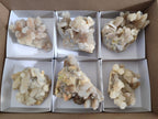Natural Drusy Fairy Spirit Quartz Clusters x 6 From Boekenhouthoek, South Africa - Toprock Gemstones and Minerals 