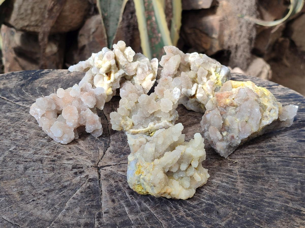 Natural Drusy Fairy Spirit Quartz Clusters x 6 From Boekenhouthoek, South Africa - Toprock Gemstones and Minerals 