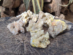 Natural Drusy Fairy Spirit Quartz Clusters x 6 From Boekenhouthoek, South Africa - Toprock Gemstones and Minerals 