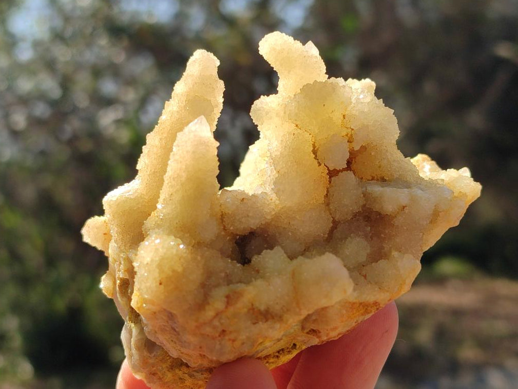 Natural Drusy Fairy Spirit Quartz Clusters x 6 From Boekenhouthoek, South Africa - Toprock Gemstones and Minerals 