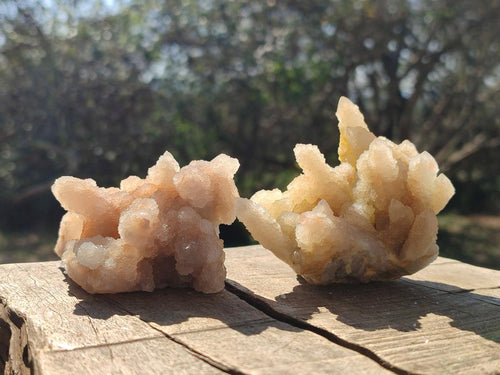 Natural Drusy Fairy Spirit Quartz Clusters x 6 From Boekenhouthoek, South Africa - Toprock Gemstones and Minerals 