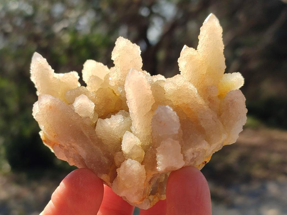 Natural Drusy Fairy Spirit Quartz Clusters x 6 From Boekenhouthoek, South Africa - Toprock Gemstones and Minerals 