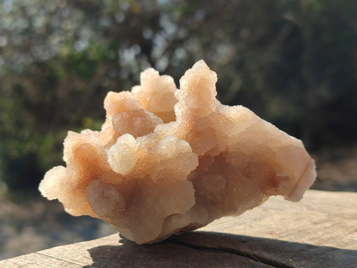 Natural Drusy Fairy Spirit Quartz Clusters x 6 From Boekenhouthoek, South Africa - Toprock Gemstones and Minerals 