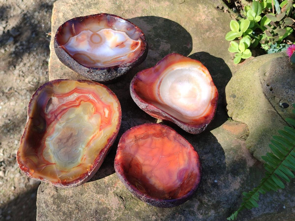 Polished On One Side Carnelian Agate Gemstone Bowls x 4 From Madagascar - Toprock Gemstones and Minerals 