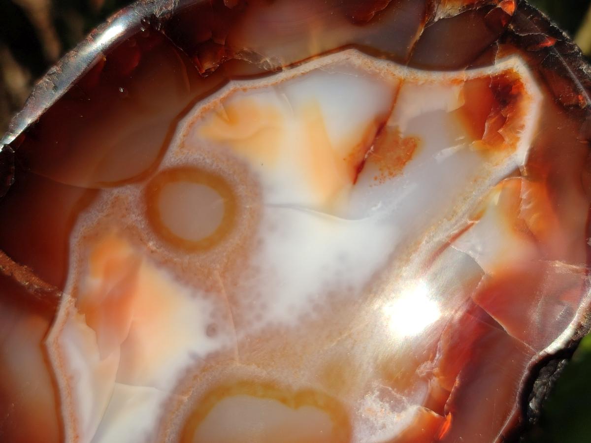 Polished On One Side Carnelian Agate Gemstone Bowls x 4 From Madagascar - Toprock Gemstones and Minerals 