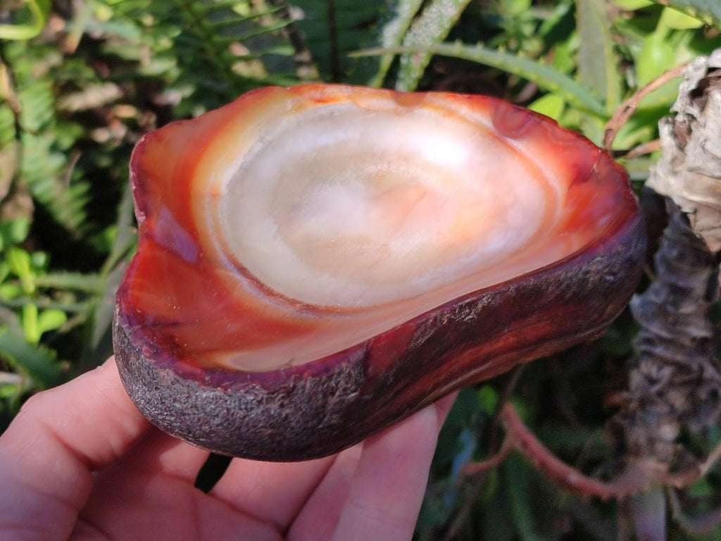 Polished On One Side Carnelian Agate Gemstone Bowls x 4 From Madagascar - Toprock Gemstones and Minerals 