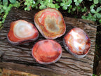 Polished On One Side Carnelian Agate Gemstone Bowls x 4 From Madagascar - Toprock Gemstones and Minerals 
